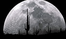 Cactus-Moonrise